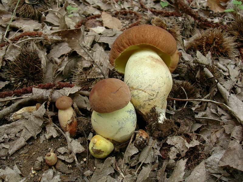 422Agosto vecchio ritrovamento